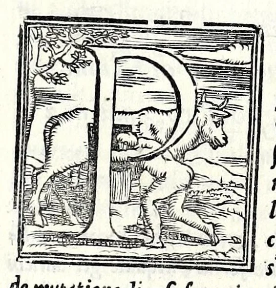 An illustration from Geneologia de gli dei : i quin deci libri di M. Giouanni Boccaccio, sopra la origine et discendenza di tutti gli dei de' gentili, con la spositione & sensi allegorici delle fauole, & con la dichiaratione dell'historie appartenenti à detta materia, 1547, leaf 301