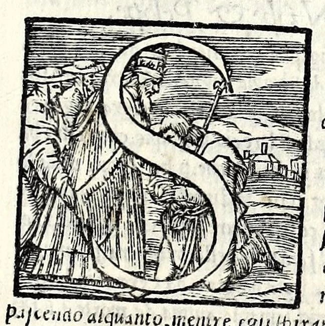 An illustration from Geneologia de gli dei : i quin deci libri di M. Giouanni Boccaccio, sopra la origine et discendenza di tutti gli dei de' gentili, con la spositione & sensi allegorici delle fauole, & con la dichiaratione dell'historie appartenenti à detta materia, 1547, leaf 427