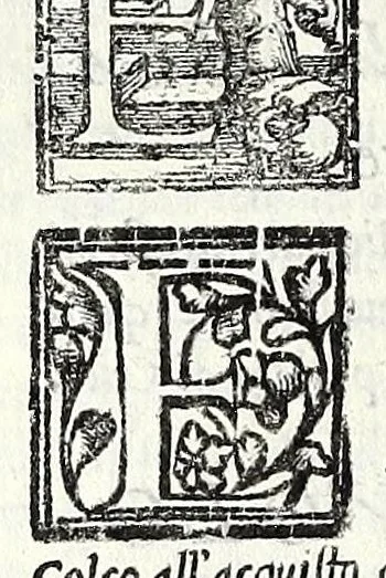 An illustration from Geneologia de gli dei : i quin deci libri di M. Giouanni Boccaccio, sopra la origine et discendenza di tutti gli dei de' gentili, con la spositione & sensi allegorici delle fauole, & con la dichiaratione dell'historie appartenenti à detta materia, 1547, leaf 486