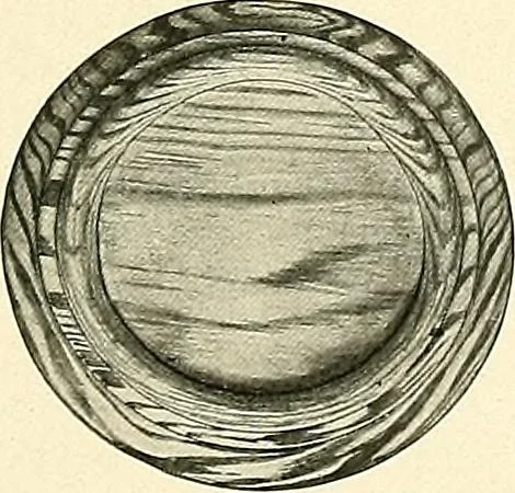 An illustration from General catalogue : Huttig Sash & Door Co., 1900, leaf 227