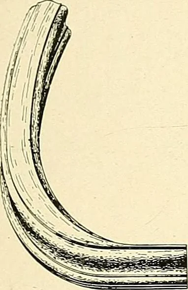 An illustration from General catalogue : Huttig Sash & Door Co., 1900, leaf 241