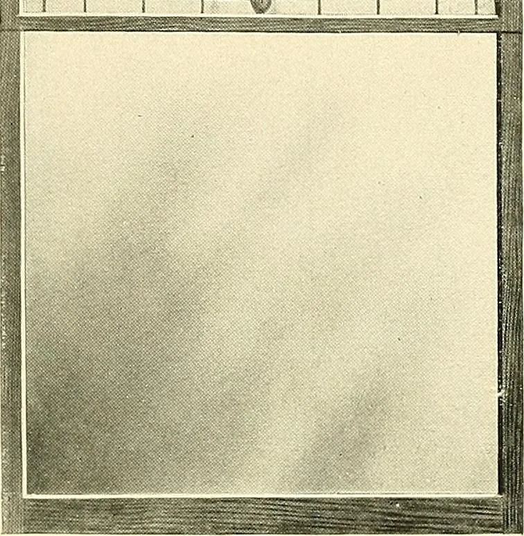 An illustration from General catalogue : Huttig Sash & Door Co., 1900, leaf 39