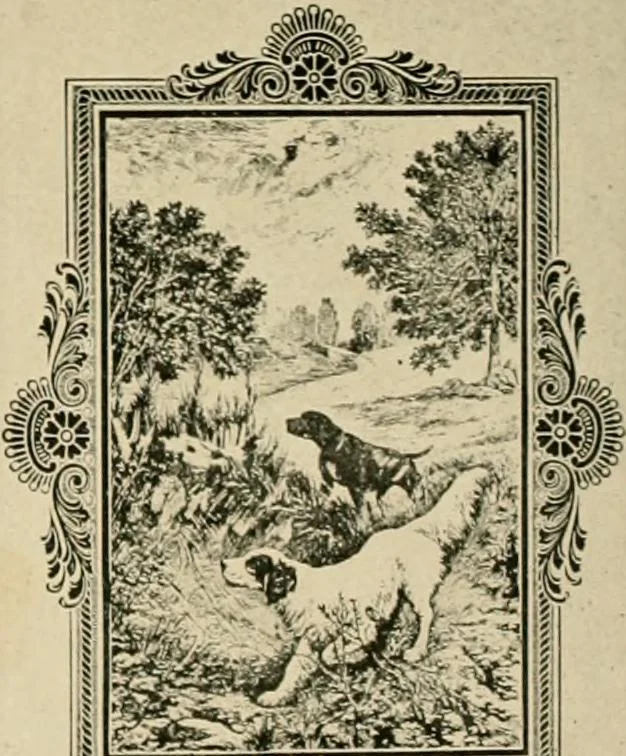 An illustration from General catalogue : Huttig Sash & Door Co., 1900, leaf 426