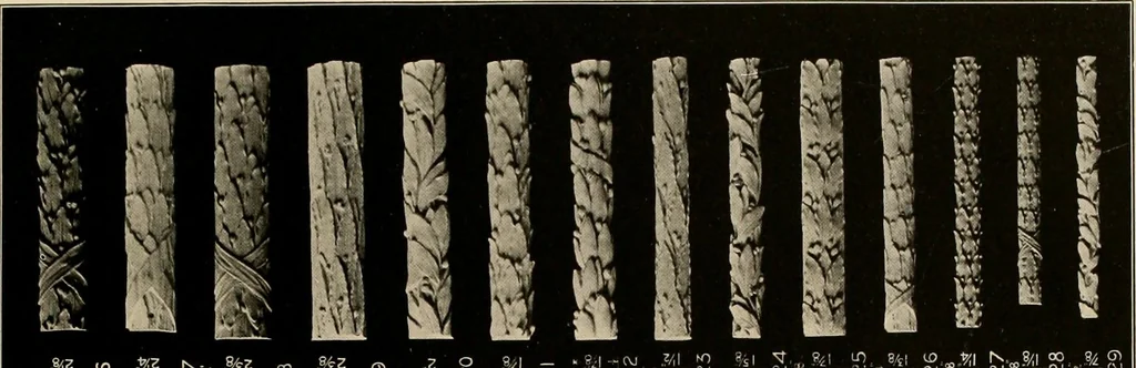 An illustration from The general catalogue of Jacobson & co, 1915, leaf 39