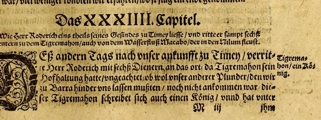 An illustration from General Chronica, das ist: Warhaffte eigentliche vnd kurtze Beschreibung, vieler namhaffter, vnd zum Theil biss daher vnbekannter Landtschafften, : erstlich dess Grossmechtigen vnd gewaltigen Herrn Priester Johan[n]s, Königs in Morenlandt, Königreichen vnd Herrschafften, auch derselbigen beyde geistliche vnd weltliche Regiment. Zum andern ein gemeine Beschreibung dess gantzen Erdbodems, in drey Bücher getheilt, nemlich, Asiam, Aphricam, vnd Europam, vnd was sich fürnemlich darinnen für guts und böses, zu Wasser und Landt, mit Krieg, Brunst, Hunger vnd dergleichen, von anfang der Welt, biss vff erbauwung der Statt Rom, vnd von dannen biss zu der Zeit Honorii vnd Theodosii, begeben vnd zugetrragen hat. Zum dritten vnd letzten, ein kurtzer Summarischer doch verstendtlicher Ausszug vnd Beschreibung der neuw erfundenen Inseln, Americe vnd Magellane, so man die neuwe Welt pflegt zu nennen. Darinnen alle Völcker vnd Nationen, die in der gantzen Welt (als viel deren jetziger Zeit bekannt sind) wohnen, sampt ihrer Ankunfft und Herkommen, auch Art vnd Natur, item Ceremonien und Gebräuchen in geistlichen und weltlichen sachen, trewlich beschrieben, vnd gleich als in einer Tafel abgemalt, für die Augen gestelt werden. Jetzt auffs neuw mit sonderm grossen fleiss, besser als zuuor, beschrieben vnd verteutscht, auch mehrer richtigkeit halben in drey vnderschiedliche Bücher getheilt, dergleichen noch niemals aussgangen, 1581, leaf 99