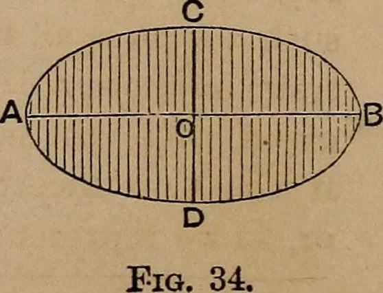An illustration from A general geometry and calculus : including book I. of the general geometry, treating of loci in a plane; and an elementary course in the differential and integral calculus, 1881, leaf 336