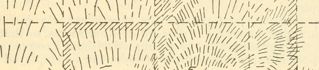 An illustration from General information regarding the national monuments set aside under the act of Congress approved June 8, 1906, 1917, leaf 50