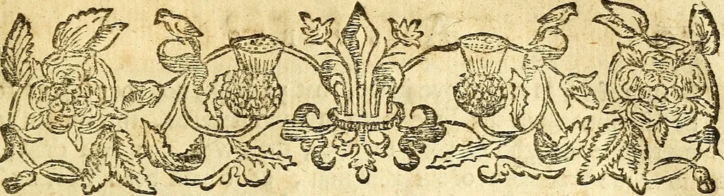 An illustration from The Generall demands, of the reverend doctors of divinitie, and ministers of the Gospell in Aberdene, concerning the late covenant, in Scotland : Together, with the answeres, replyes, and duplyes that followed thereupon, in the year, 1638, 1663, leaf 44