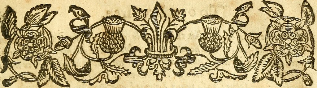 An illustration from The Generall demands, of the reverend doctors of divinitie, and ministers of the Gospell in Aberdene, concerning the late covenant, in Scotland : Together, with the answeres, replyes, and duplyes that followed thereupon, in the year, 1638, 1663, leaf 78