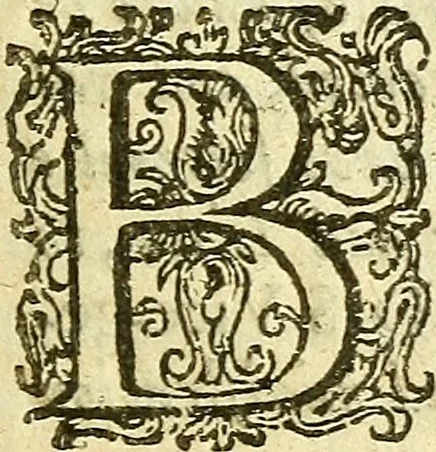 An illustration from The Generall demands, of the reverend doctors of divinitie, and ministers of the Gospell in Aberdene, concerning the late covenant, in Scotland : Together, with the answeres, replyes, and duplyes that followed thereupon, in the year, 1638, 1663, leaf 8