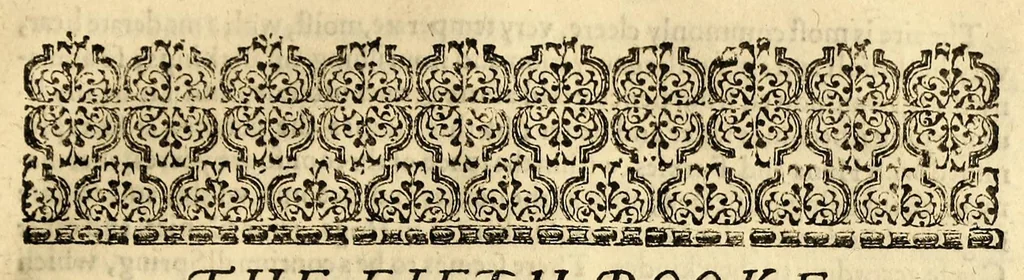 An illustration from The generall historie of Virginia, New-England, and the Summer Isles: with the names of the adventurers, planters, and governours from their first beginning. an[n]o 1584. to this present 1626. : With the procedings of those severall colonies and the accidents that befell them in all their journyes and discoveries. Also the maps and descriptions of all those countryes, their commodities, people, government, customes, and religion yet knowne. Divided into sixe bookes., 1632, leaf 185