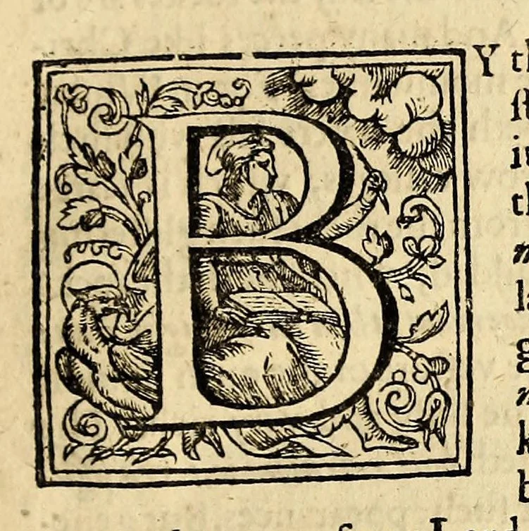 An illustration from The generall historie of Virginia, New-England, and the Summer Isles: with the names of the adventurers, planters, and governours from their first beginning. an[n]o 1584. to this present 1626. : With the procedings of those severall colonies and the accidents that befell them in all their journyes and discoveries. Also the maps and descriptions of all those countryes, their commodities, people, government, customes, and religion yet knowne. Divided into sixe bookes., 1632, leaf 41