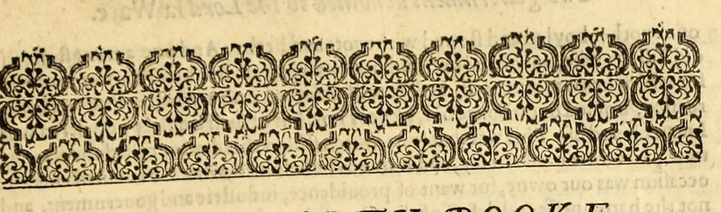 An illustration from The generall historie of Virginia, New-England, and the Summer Isles: with the names of the adventurers, planters, and governours from their first beginning, an[n]o: 1584. to this present 1626. : With the procedings of those severall colonies and the accidents that befell them in all their journyes and discoveries. Also the maps and descriptions of all those countryes, their commodities, people, government, customes, and religion yet knowne. Divided into sixe bookes., 1626, leaf 117