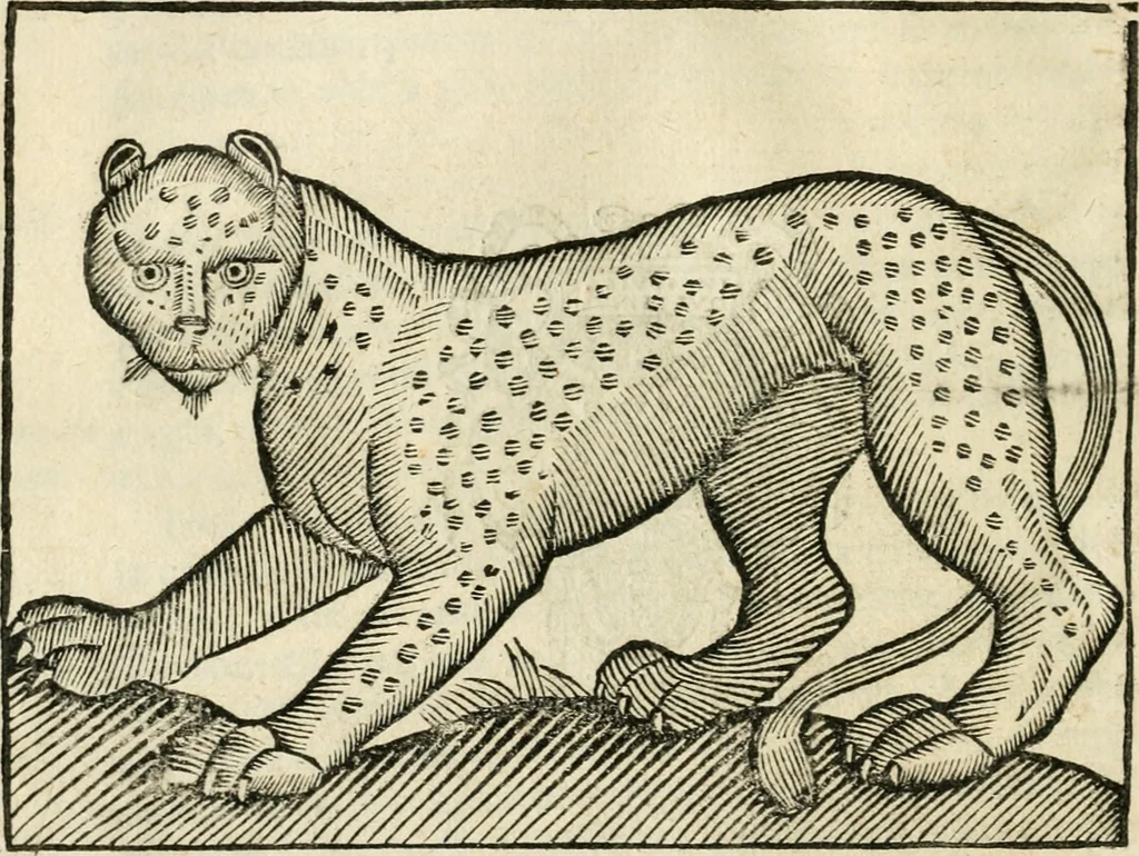 An illustration from Govierno general, moral, y politico. Hallado en las fieras y animales sylvestres. Sacado de sus naturales virtudes, y propiedades. Con particular table para sermones varios de tiempo y de santos, 1696, leaf 171