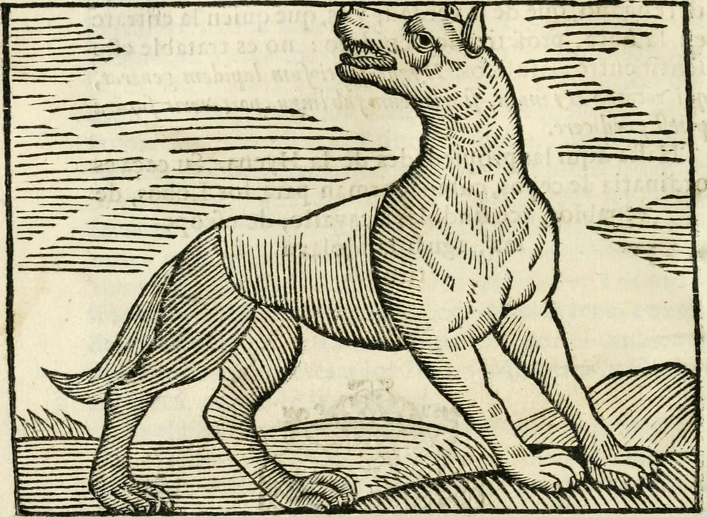 An illustration from Govierno general, moral, y politico. Hallado en las fieras y animales sylvestres. Sacado de sus naturales virtudes, y propiedades. Con particular table para sermones varios de tiempo y de santos, 1696, leaf 229