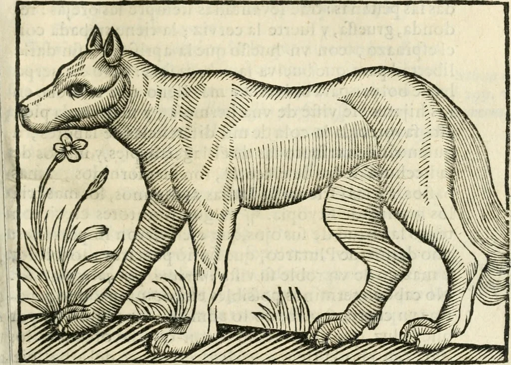 An illustration from Govierno general, moral, y politico. Hallado en las fieras y animales sylvestres. Sacado de sus naturales virtudes, y propiedades. Con particular table para sermones varios de tiempo y de santos, 1696, leaf 254
