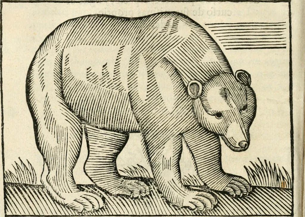 An illustration from Govierno general, moral, y politico. Hallado en las fieras y animales sylvestres. Sacado de sus naturales virtudes, y propiedades. Con particular table para sermones varios de tiempo y de santos, 1696, leaf 263