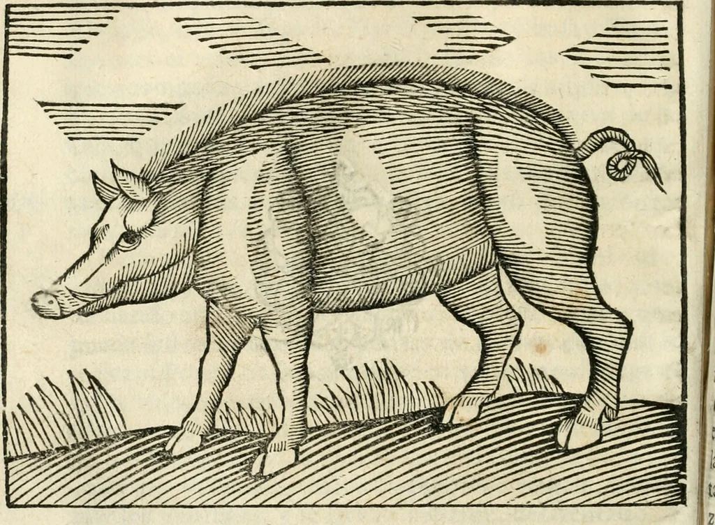 An illustration from Govierno general, moral, y politico. Hallado en las fieras y animales sylvestres. Sacado de sus naturales virtudes, y propiedades. Con particular table para sermones varios de tiempo y de santos, 1696, leaf 295