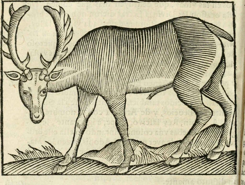 An illustration from Govierno general, moral, y politico. Hallado en las fieras y animales sylvestres. Sacado de sus naturales virtudes, y propiedades. Con particular table para sermones varios de tiempo y de santos, 1696, leaf 309