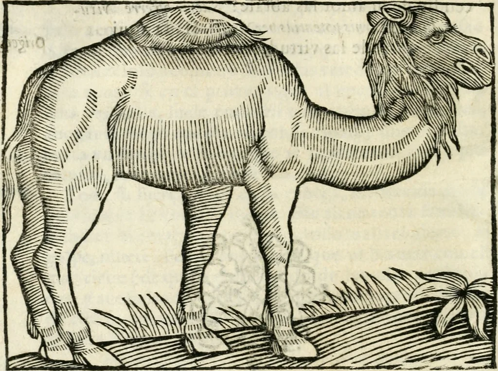 An illustration from Govierno general, moral, y politico. Hallado en las fieras y animales sylvestres. Sacado de sus naturales virtudes, y propiedades. Con particular table para sermones varios de tiempo y de santos, 1696, leaf 341