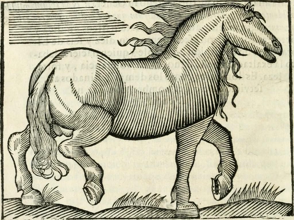 An illustration from Govierno general, moral, y politico. Hallado en las fieras y animales sylvestres. Sacado de sus naturales virtudes, y propiedades. Con particular table para sermones varios de tiempo y de santos, 1696, leaf 355