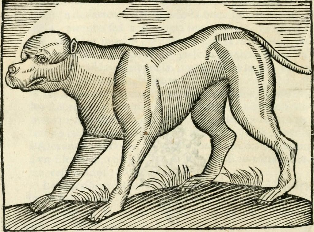 An illustration from Govierno general, moral, y politico. Hallado en las fieras y animales sylvestres. Sacado de sus naturales virtudes, y propiedades. Con particular table para sermones varios de tiempo y de santos, 1696, leaf 393