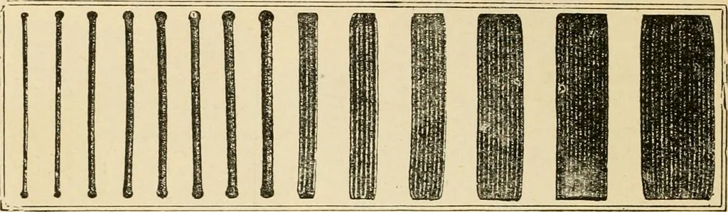 An illustration from General price list., 1904, leaf 133