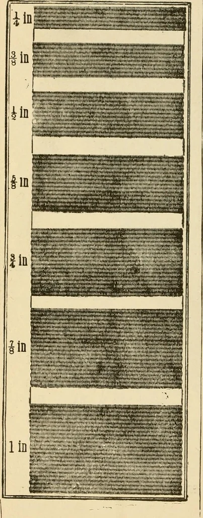 An illustration from General price list., 1904, leaf 135