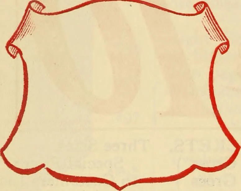 An illustration from General price list., 1904, leaf 193