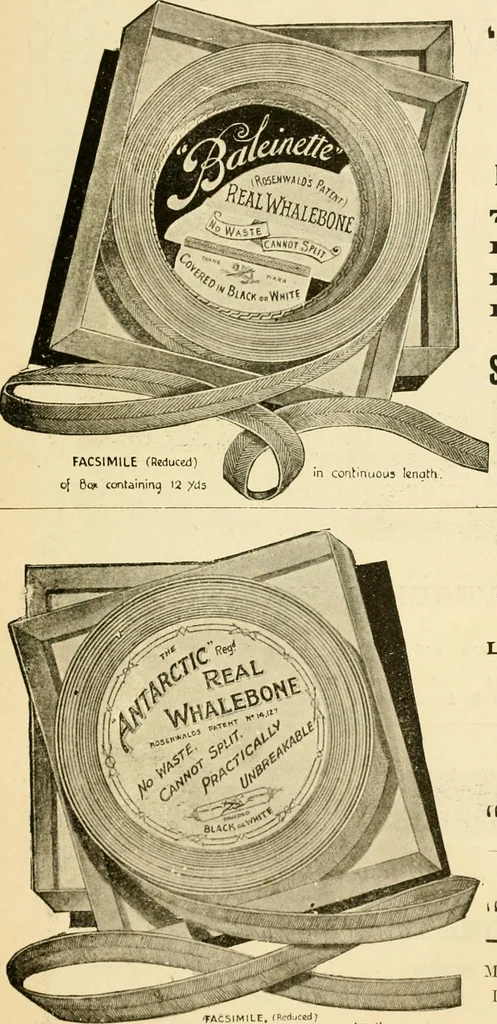 An illustration from General price list., 1904, leaf 222