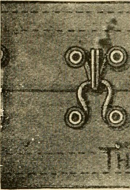 An illustration from General price list., 1904, leaf 227