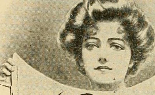 An illustration from General price list., 1904, leaf 239