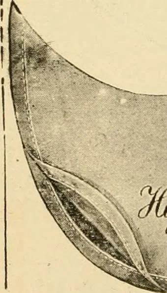 An illustration from General price list., 1904, leaf 239