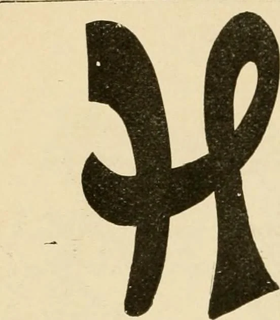 An illustration from General price list., 1904, leaf 243