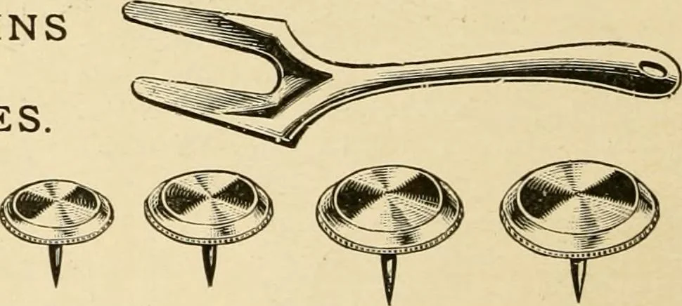 An illustration from General price list., 1904, leaf 277
