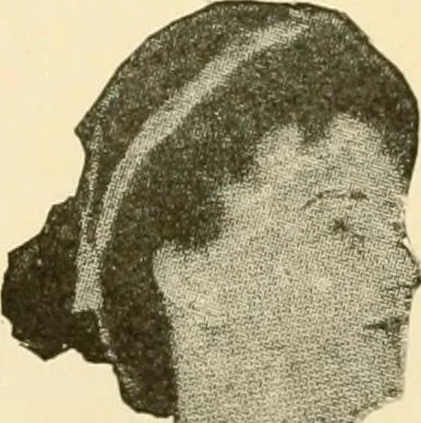 An illustration from General price list., 1904, leaf 292
