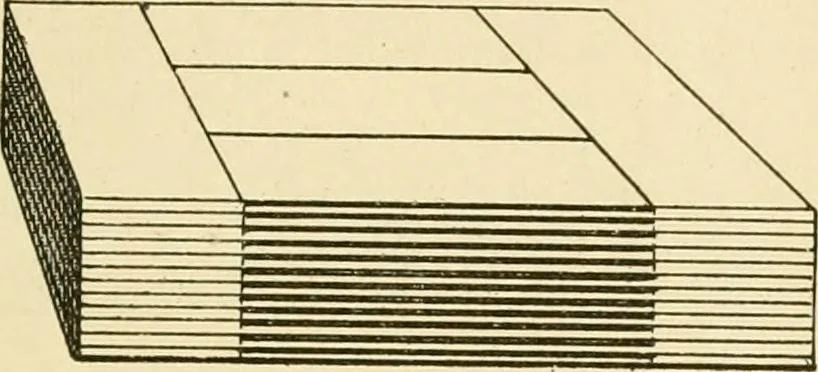 An illustration from General price list., 1904, leaf 312