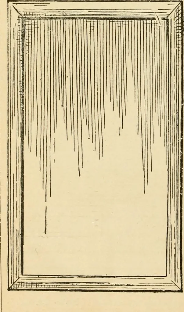An illustration from General price list., 1904, leaf 317