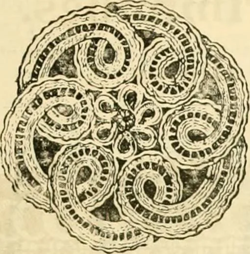 An illustration from General price list., 1904, leaf 354