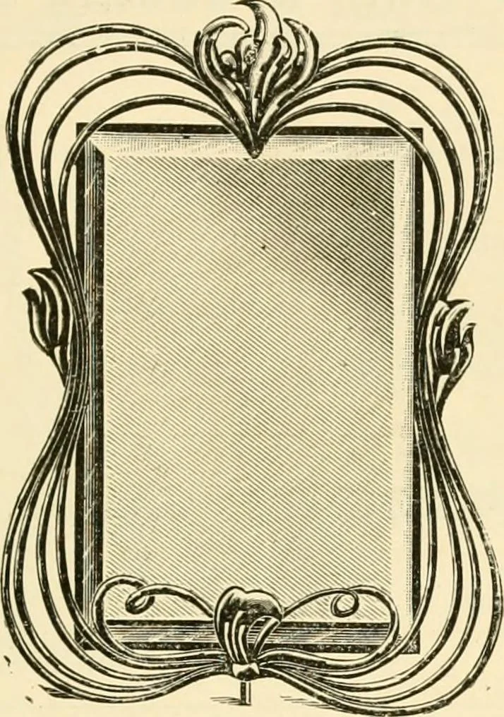 An illustration from General price list., 1904, leaf 372