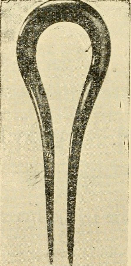 An illustration from General price list., 1904, leaf 405