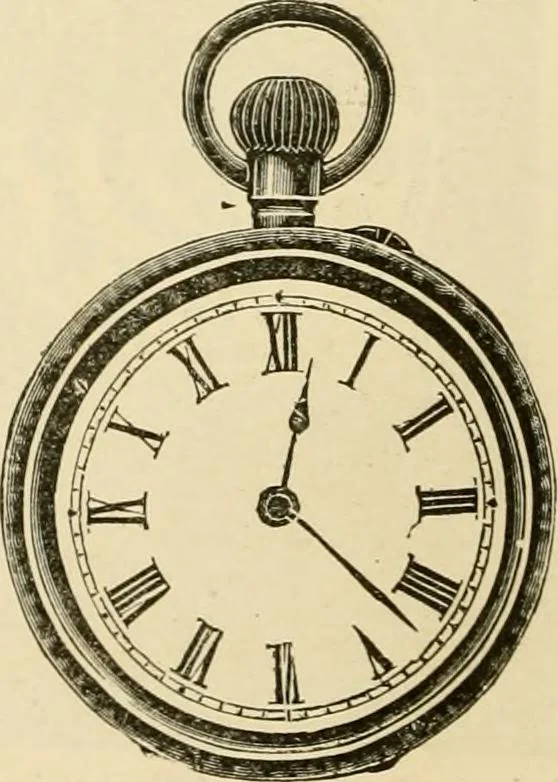 An illustration from General price list., 1904, leaf 415