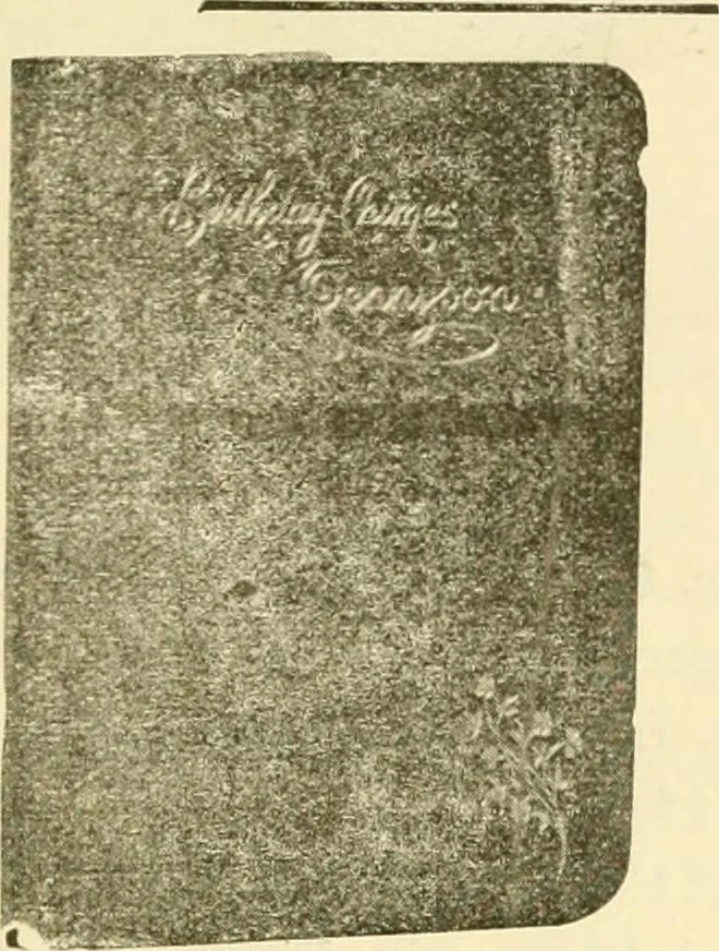 An illustration from General price list., 1904, leaf 426