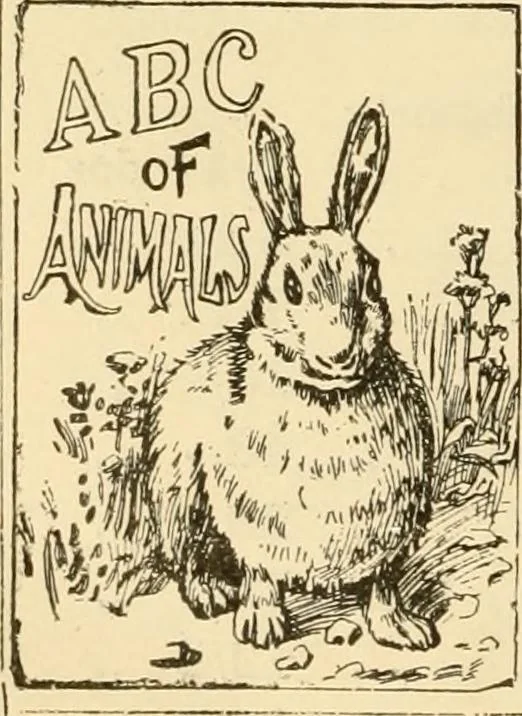 An illustration from General price list., 1904, leaf 427