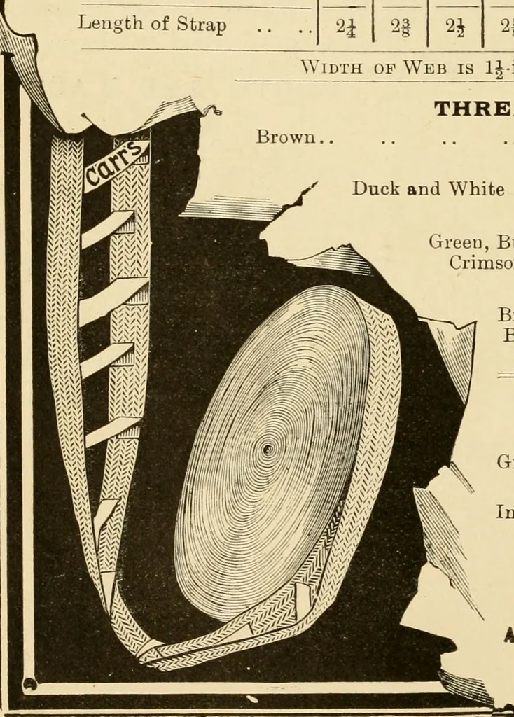 An illustration from General price list., 1904, leaf 45