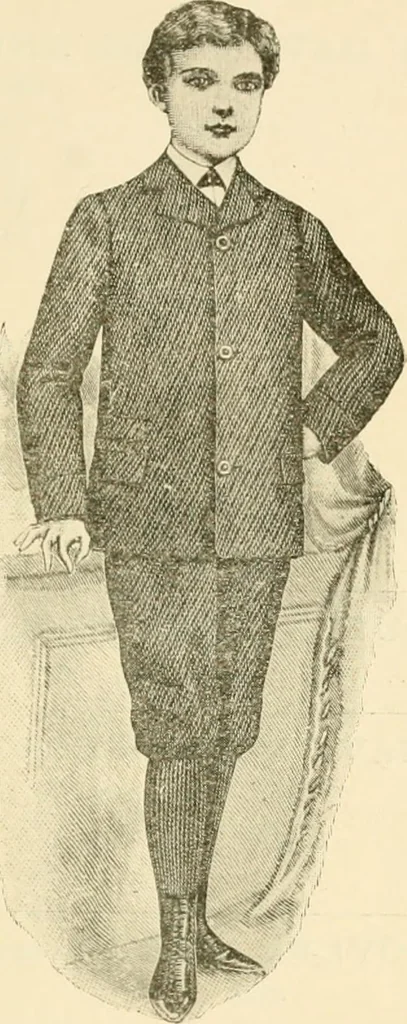 An illustration from General price list., 1904, leaf 500