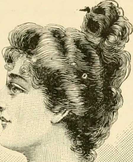An illustration from General price list., 1904, leaf 518