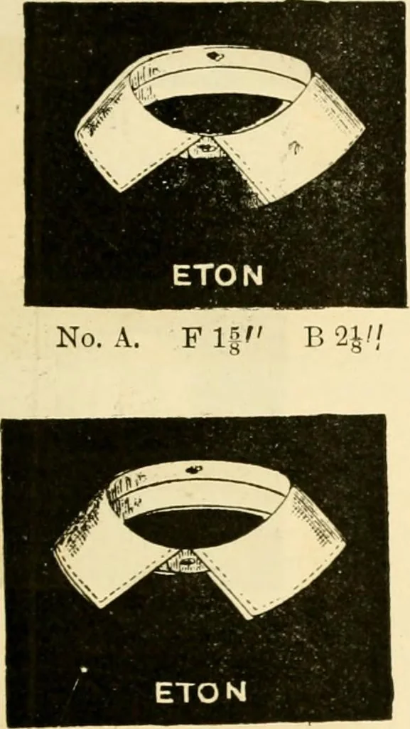 An illustration from General price list., 1904, leaf 552