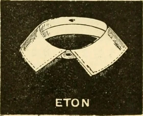 An illustration from General price list., 1904, leaf 552