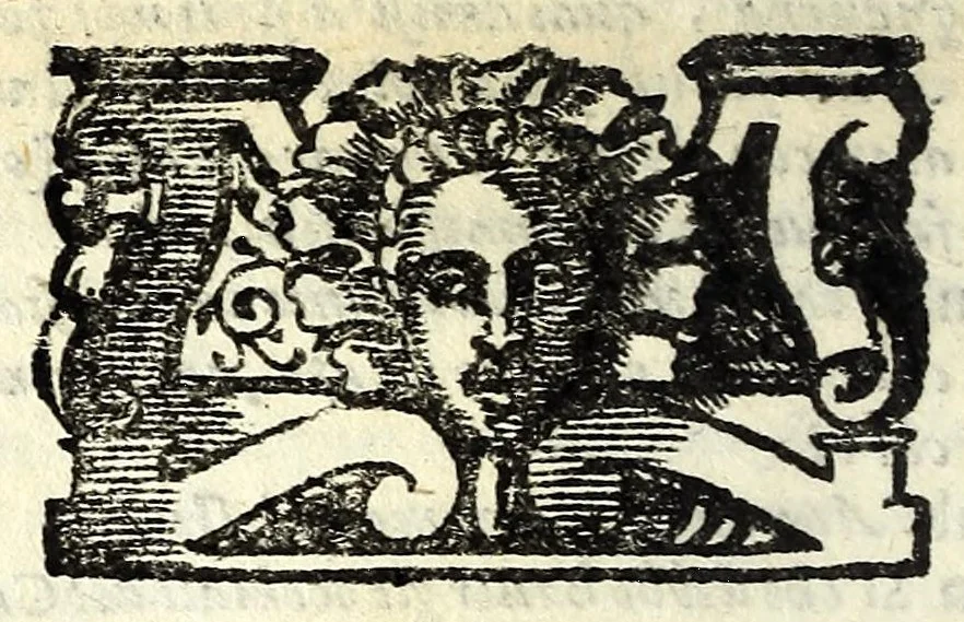 An illustration from Generosità d'amore : comedia nova, et piacevole, 1629, leaf 108